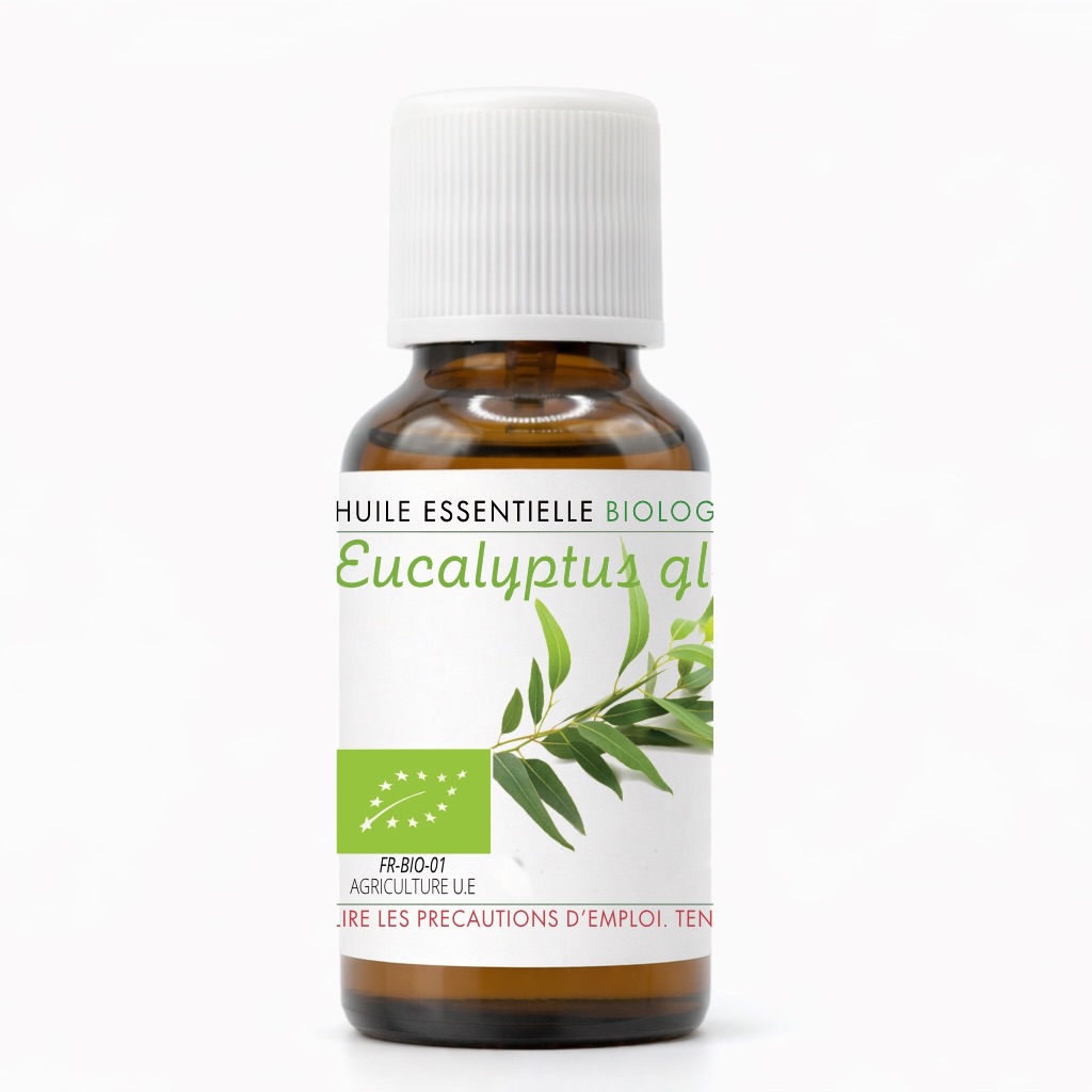 Huile essentielle d'Eucalyptus globulus brut biologique