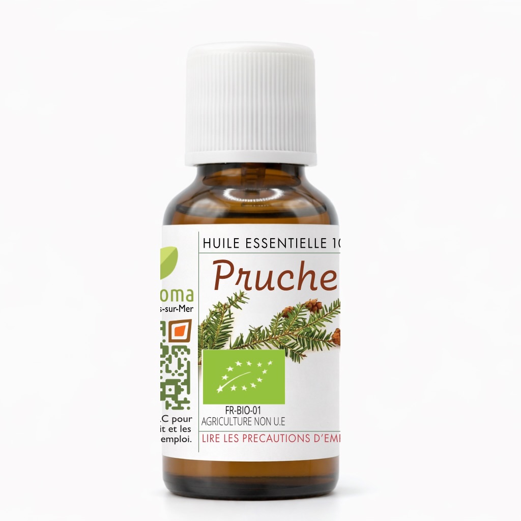 Flacon d’huile essentielle de Pruche biologique 100 % pure et naturelle