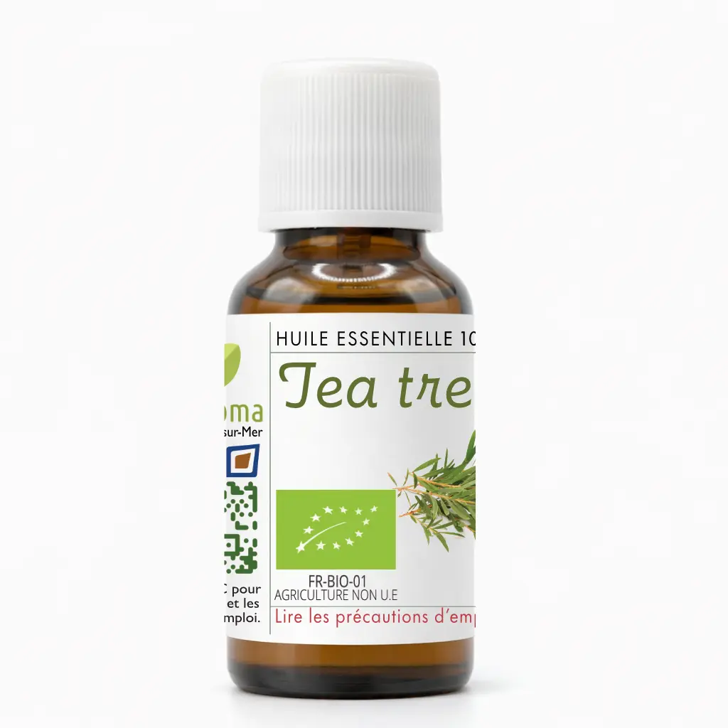 Flacon d’huile essentielle de Tea Tree biologique 100 % naturelle